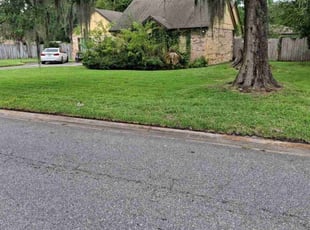 Sydney S.'s lawn service service result