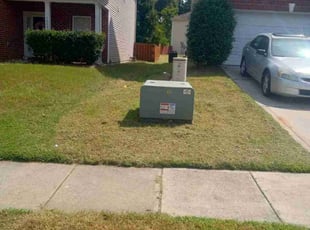 Ray R.'s turf care service result