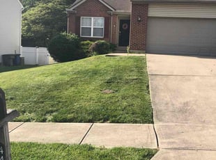 Robyn H.'s grass maintenance service result