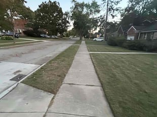 Sophia H.'s turf care service result