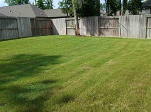 Deidre M.'s grass maintenance service result