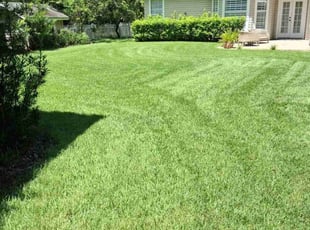 William C.'s grass cutting service result