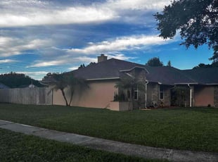 Daisha W.'s turf care service result