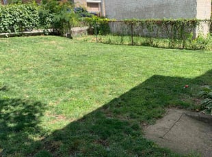Michael Z.'s lawn service service result