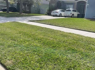 Patricia S.'s lawn care services service result