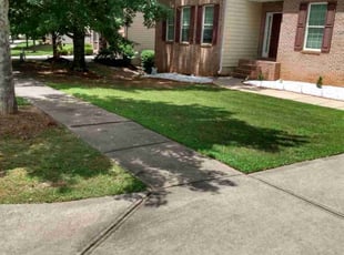 Ryan H.'s lawn care services service result