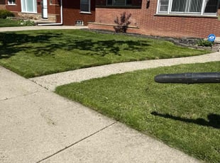 Amanda B.'s lawn service service result