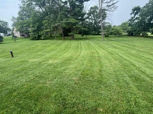 Jeff C.'s lawn care service result