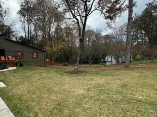 Rosemary W.'s Leaf Removal service result