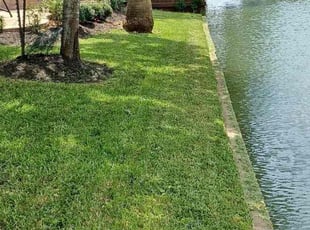 Megan W.'s lawn care service result