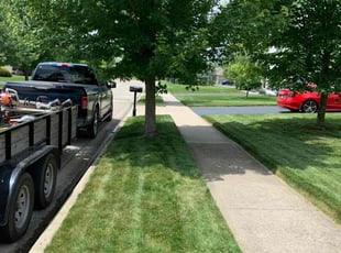 Tawanda L.'s lawn maintenance service result