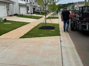 Rich S.'s Mulching service result