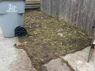 Albert D.'s Cleanups service result