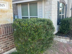 Cahn W.'s lawn maintenance service result