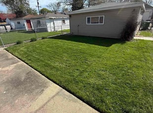 Jade J.'s turf care service result