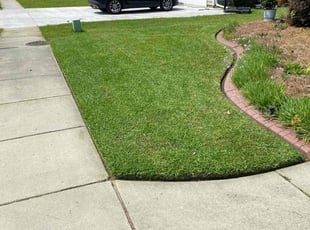 Sarah S.'s turf maintenance service result