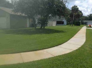 Jonette I.'s lawn care services service result