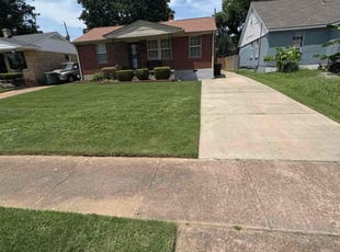 Tom M.'s grass cutting service result