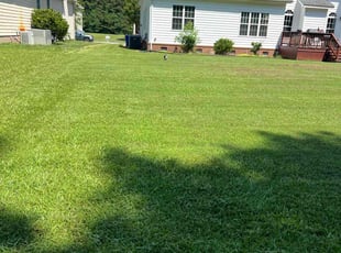 Wanda M.'s lawn maintenance service result