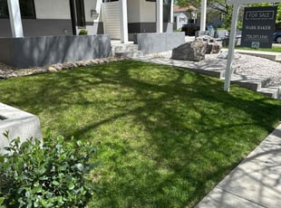 Beth M.'s grass cutting service result
