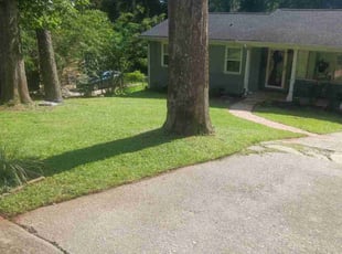 Molly W.'s lawn care service result