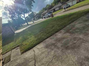 Tarek D.'s grass maintenance service result