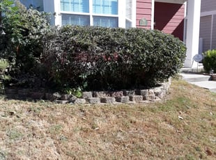 Edgar P.'s Bush Trimming service result