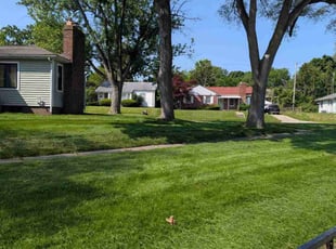Kelly S.'s turf care service result