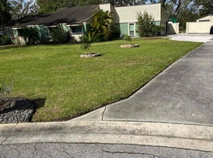 Daniel C.'s landscape maintenance service result