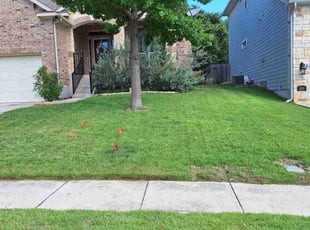 Electra W.'s lawn care service result