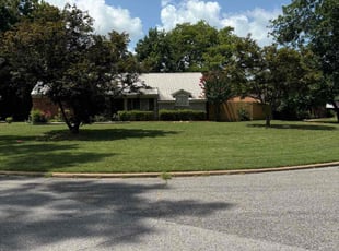 Allen A.'s lawn care service result