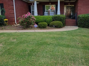 Susan R.'s Bush Trimming service result