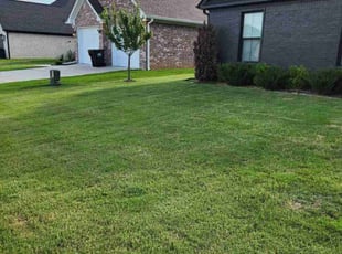 Ashley M.'s grass maintenance service result