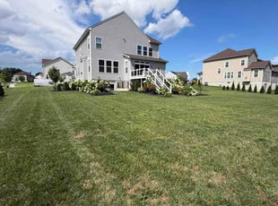 Gus D.'s lawn care services service result
