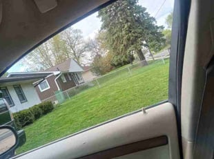 Mark P.'s grass cutting service result
