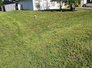 Edward T.'s Cleanups service result