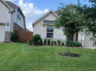 Todd S.'s turf care service result
