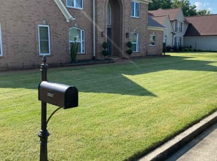 Caley W.'s lawn maintenance service result