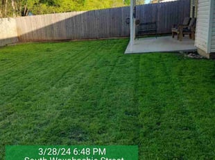 Rich B.'s Lawn Mowing service result