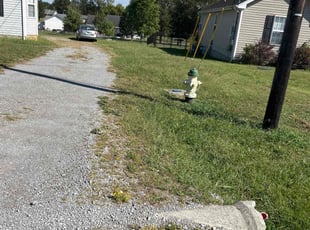 Nadia S.'s lawn care services service result