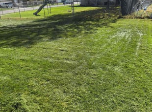 Johnny S.'s turf care service result