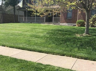 John N.'s lawn maintenance service result