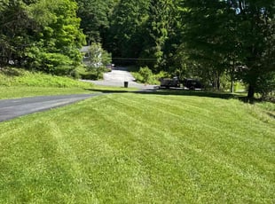 Robert W.'s grass maintenance service result
