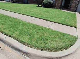 Bonnie S.'s turf care service result