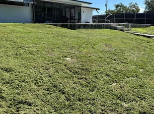 Derek N.'s lawn care services service result