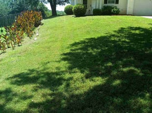 Laura G.'s grass maintenance service result