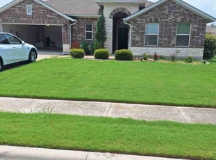 Crystal G.'s lawn care service result