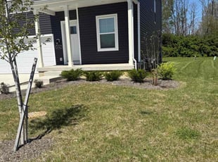 Megan H.'s lawn care service result