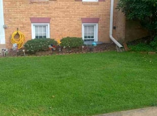 Wesley H.'s turf maintenance service result