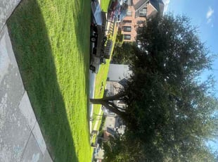 Stephen B.'s lawn service service result